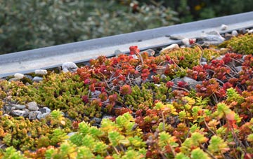 the cost of Warfleet green roof installation