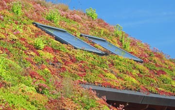Warfleet living roof systems